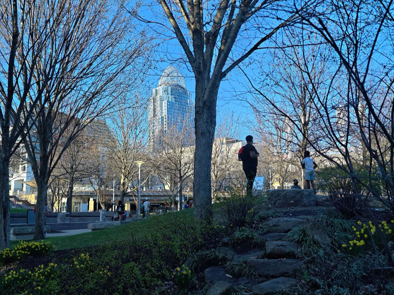 Trees, planted slopes and a stone path at Smale Riverfront Park with the Cincinnati skyline beyond.